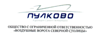 Ооо авиационные. ООО воздушные ворота Северной столицы аэропорт Пулково. Воздушные ворота Северной столицы лого. Логотип ворота Северной столицы. Логотип воздушные ворота.